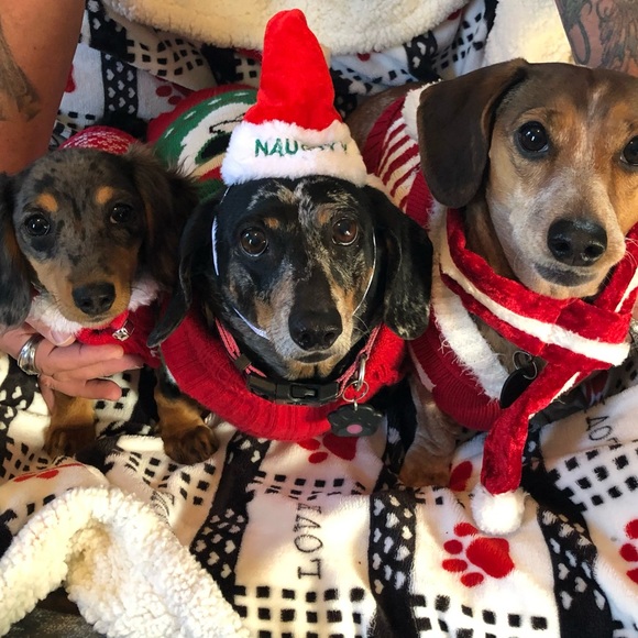 Meet the Posher - Picture 2 of 6